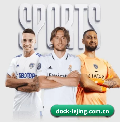 dock-lejing.com.cn的方向