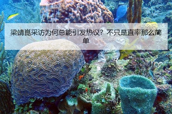liang-jing-kun-cai-fang-wei-he-zong-neng-yin-fa-re-yi-bu-zhi-shi-zhi-shuai-na-me-jian-dan-2-801.jpg